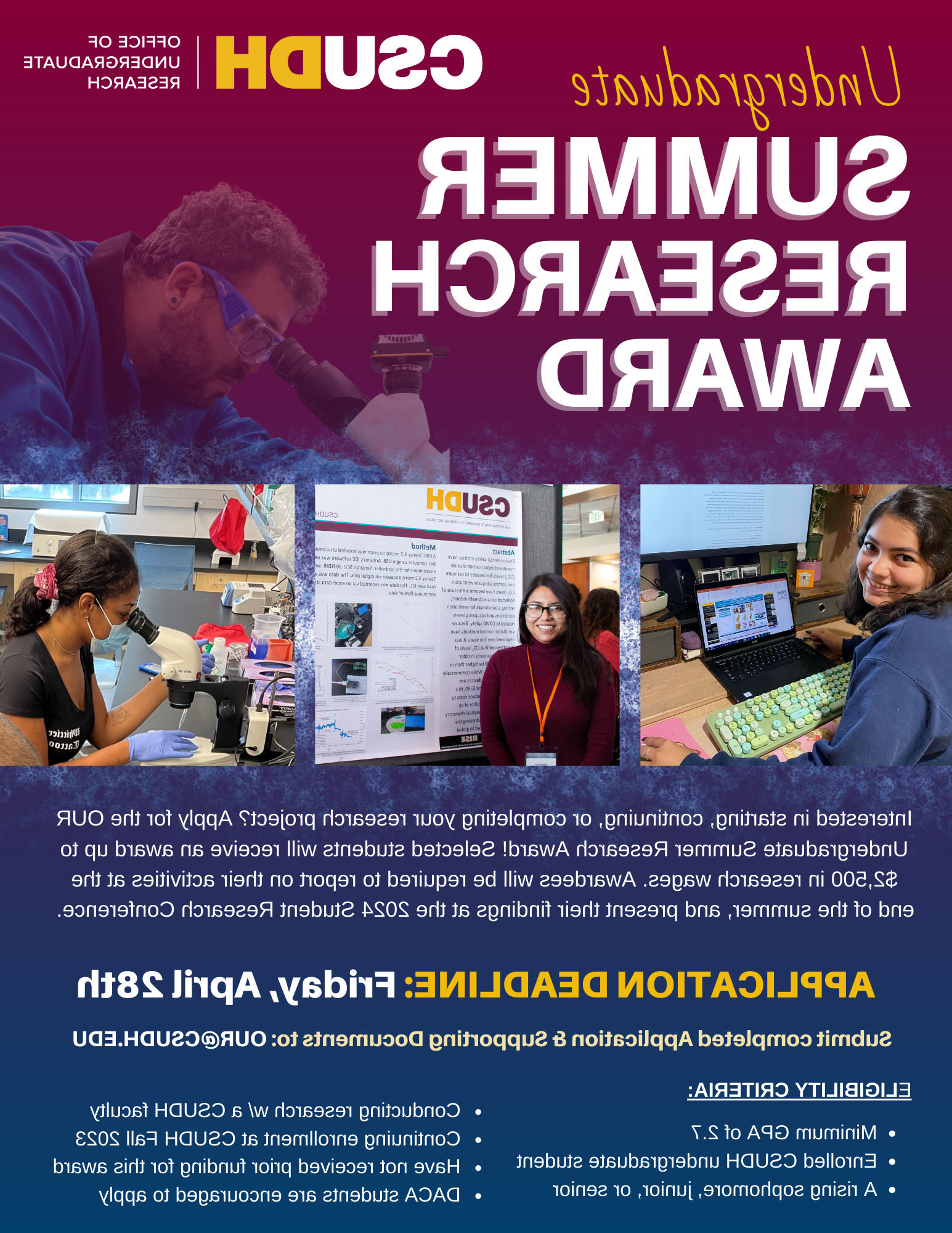 2023 Summer Research Award Flyer